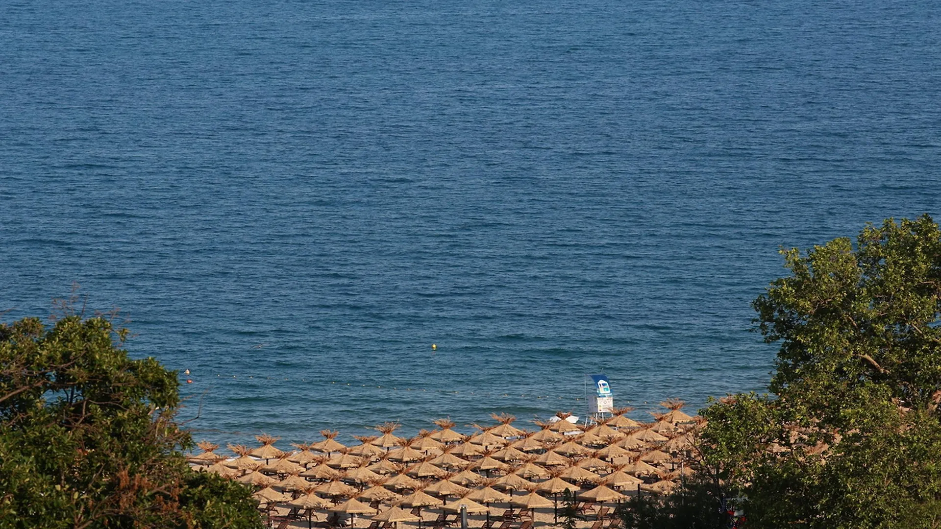 3- Room Apartment In Golden Line Golden Sands